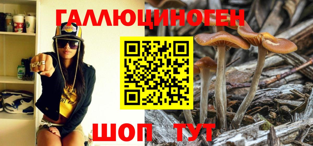 Галлюциногенные грибы Magic Shrooms Краснознаменск
