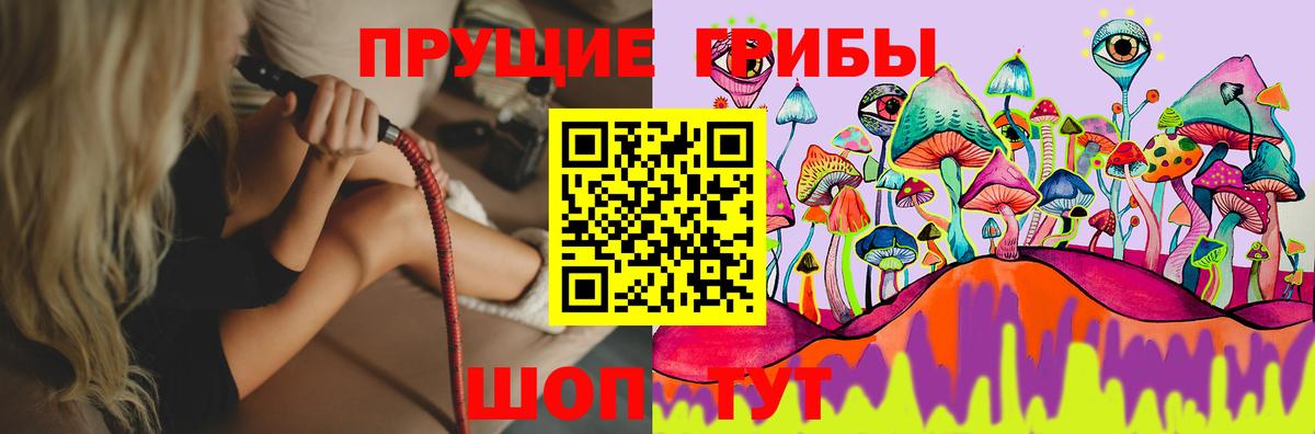 Псилоцибиновые грибы мицелий  Вход с VPN  Краснознаменск 